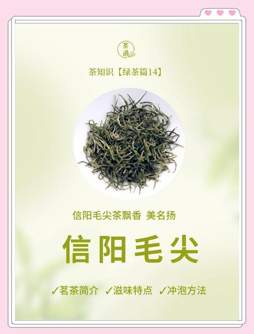 河南信阳:“三全工作法”让信阳毛尖更沁香