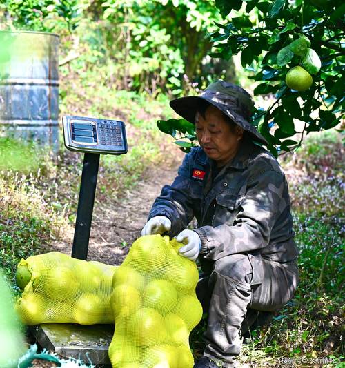 江西永修:生态种养带来致富好“钱”景