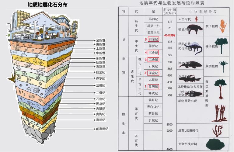 世界自然保护联盟:全球超过三分之一树种濒临灭绝