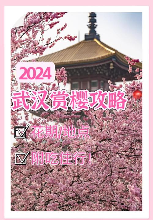 “世界花园”云南“赏樱经济”激发春日消费新活力
