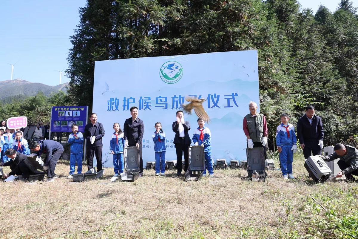 探索候鸟保护省级合作新模式五省(区)启动候鸟迁飞通道跨区域联合保护行动