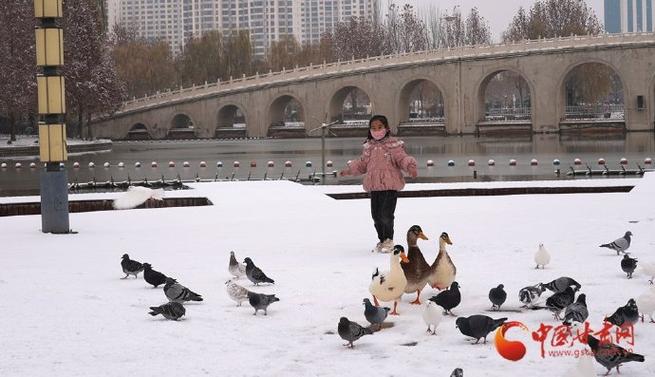 陇拍客丨雪润永靖风光美