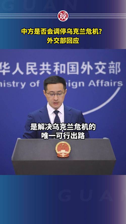 中国代表呼吁推动乌克兰危机早日得到政治解决