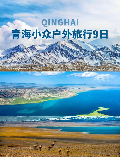 “长江少年行”青海主题研学旅游活动正式启动