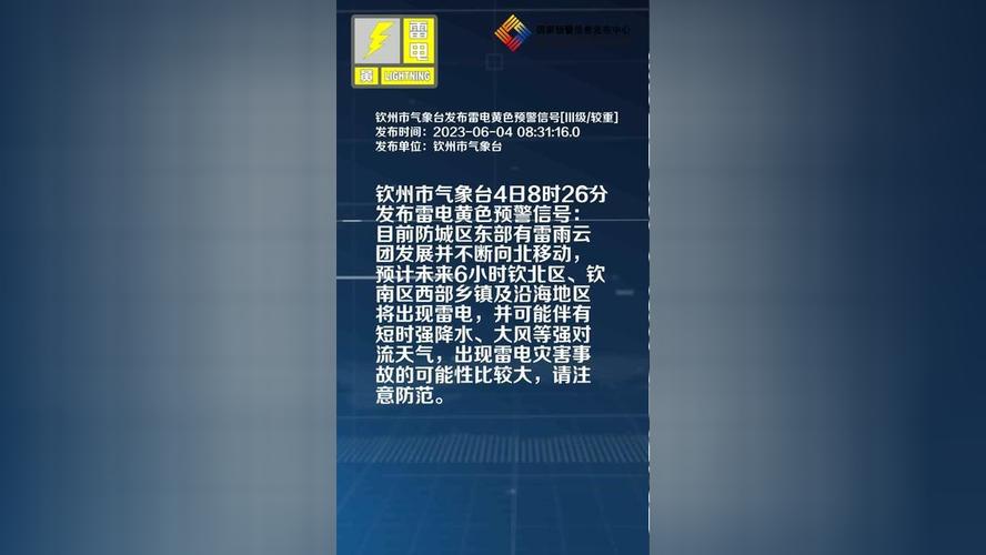 广西壮族自治区河池市发布雷电黄色预警