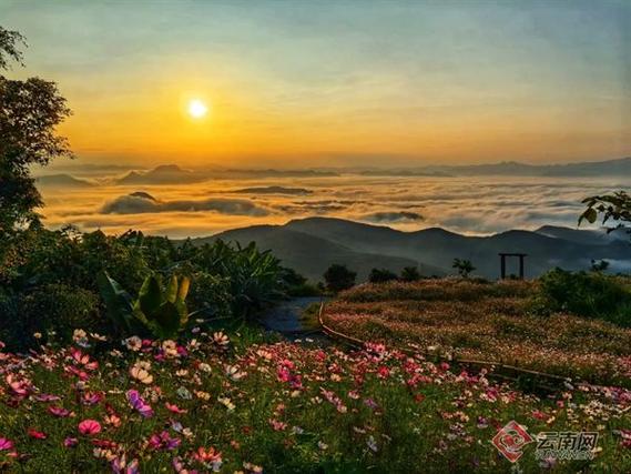 新华网财经观察·县域行|云南景洪:“黎明之城”迈进旅居时代