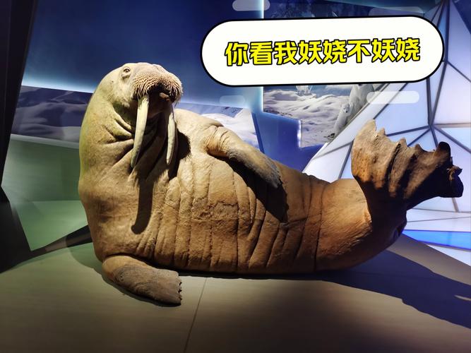 夜游海博馆