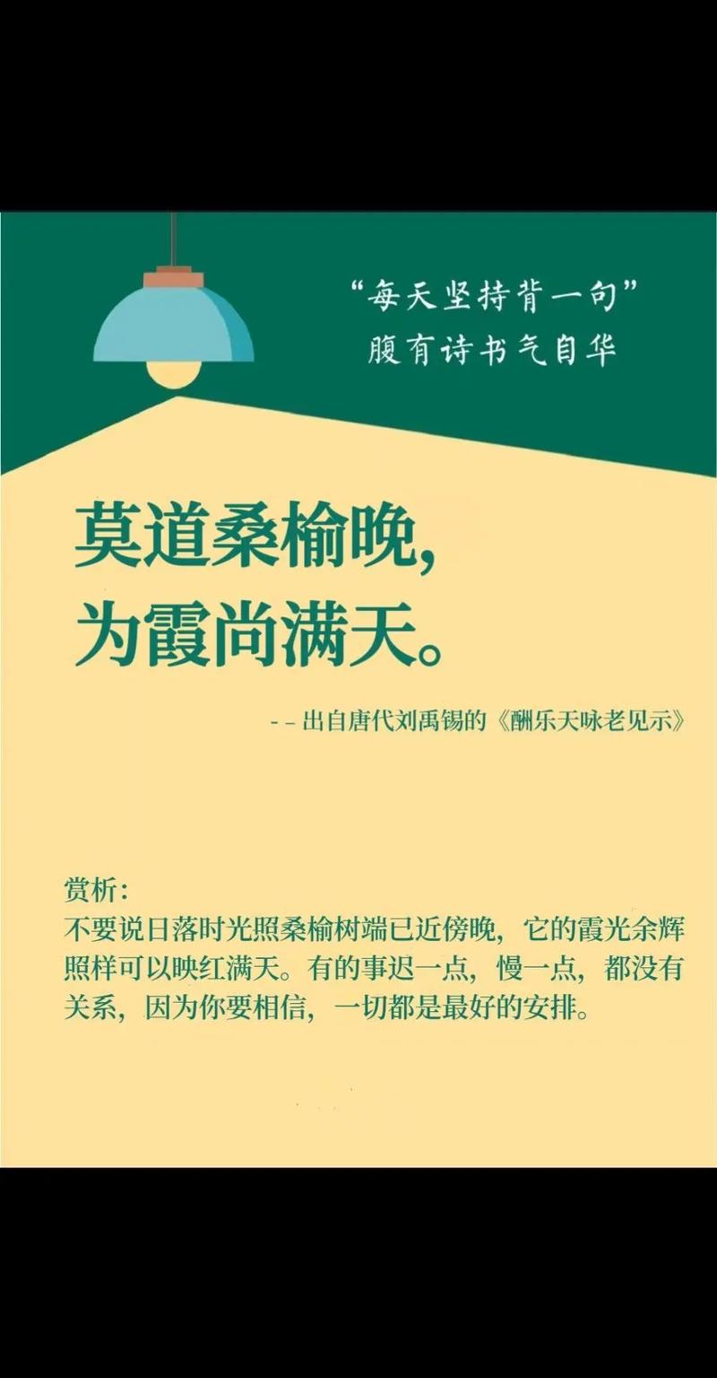 莫道桑榆晚 解锁“宝藏老人”的乐与为