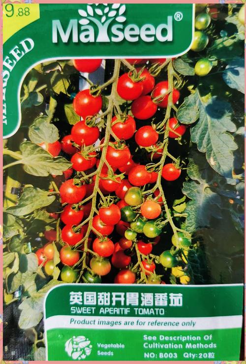 番茄、玉米等优新品种亮相三亚