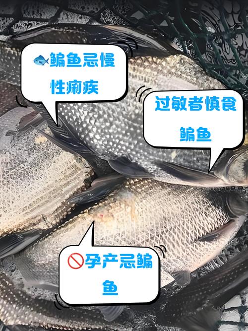 采购的鳊鱼不合格,绍兴市越城区一饭店被罚款5000元