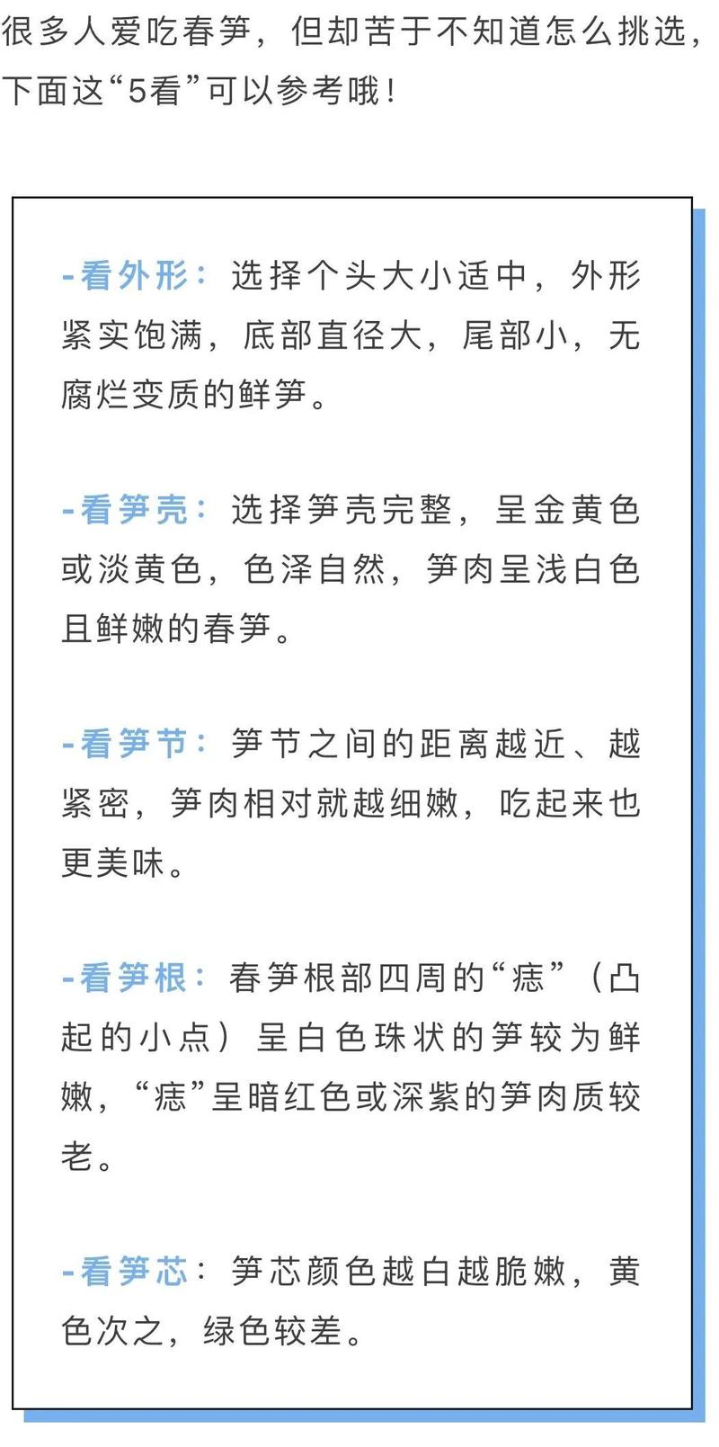 劝你多吃春笋的理由,1个就够了!