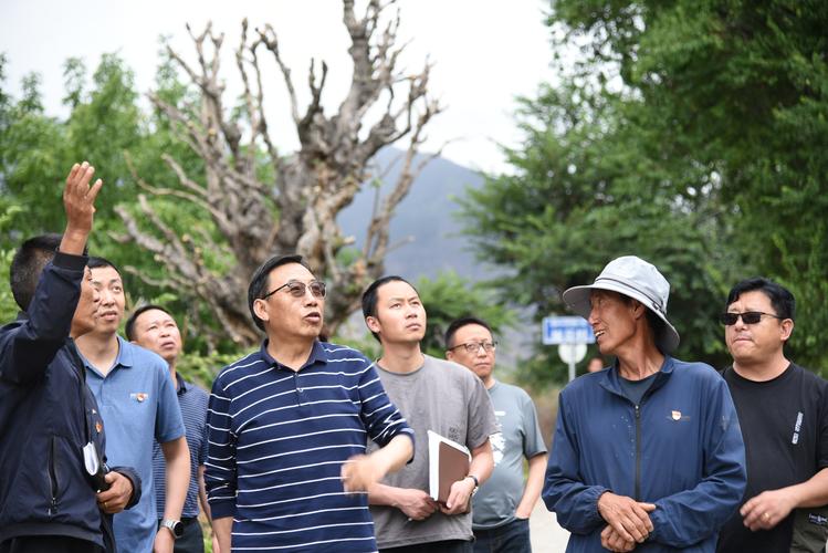(乡村行·看振兴)从教书育人到建设乡村 驻村书记带村民拓宽致富路