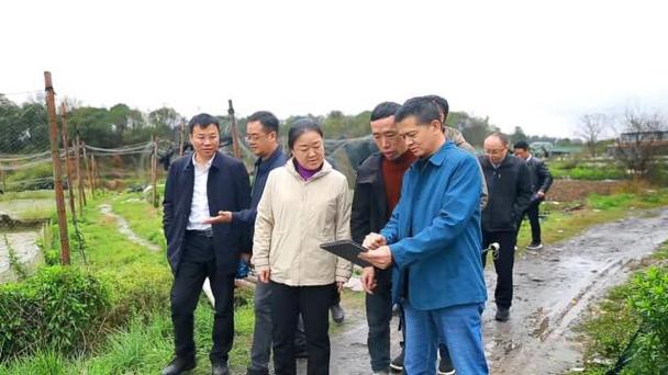 湖南祁东:“严督”增“颜值” 助力农村人居环境“脱胎换骨”